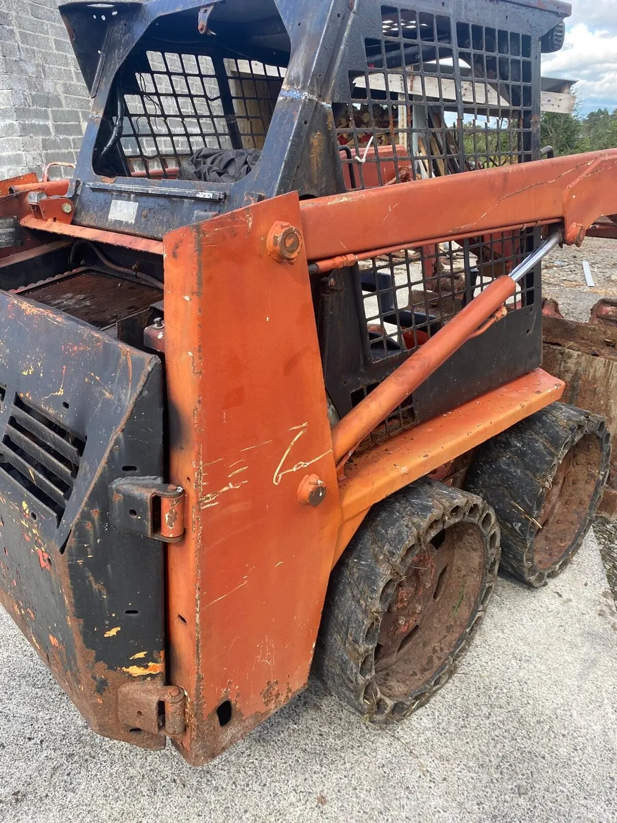 Bobcat - Image 3