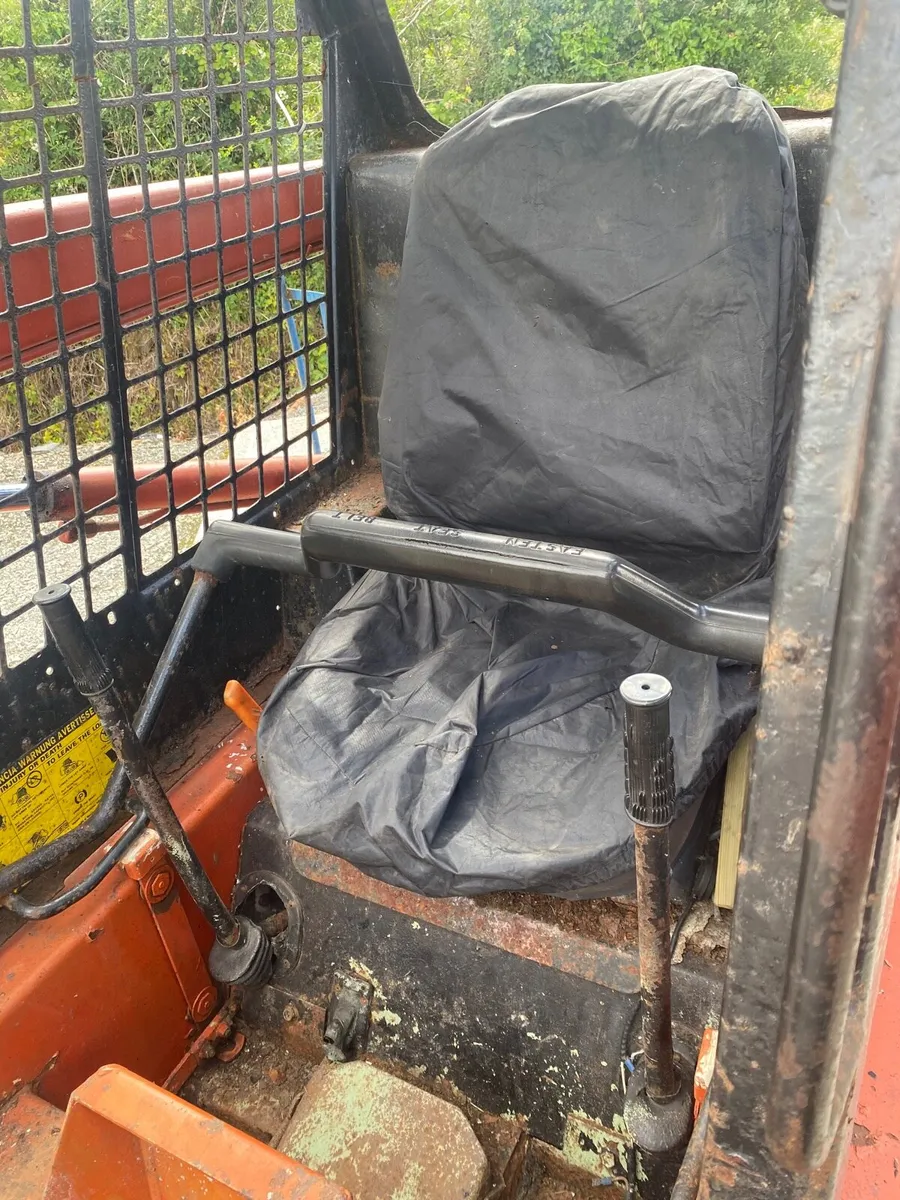 Bobcat - Image 4