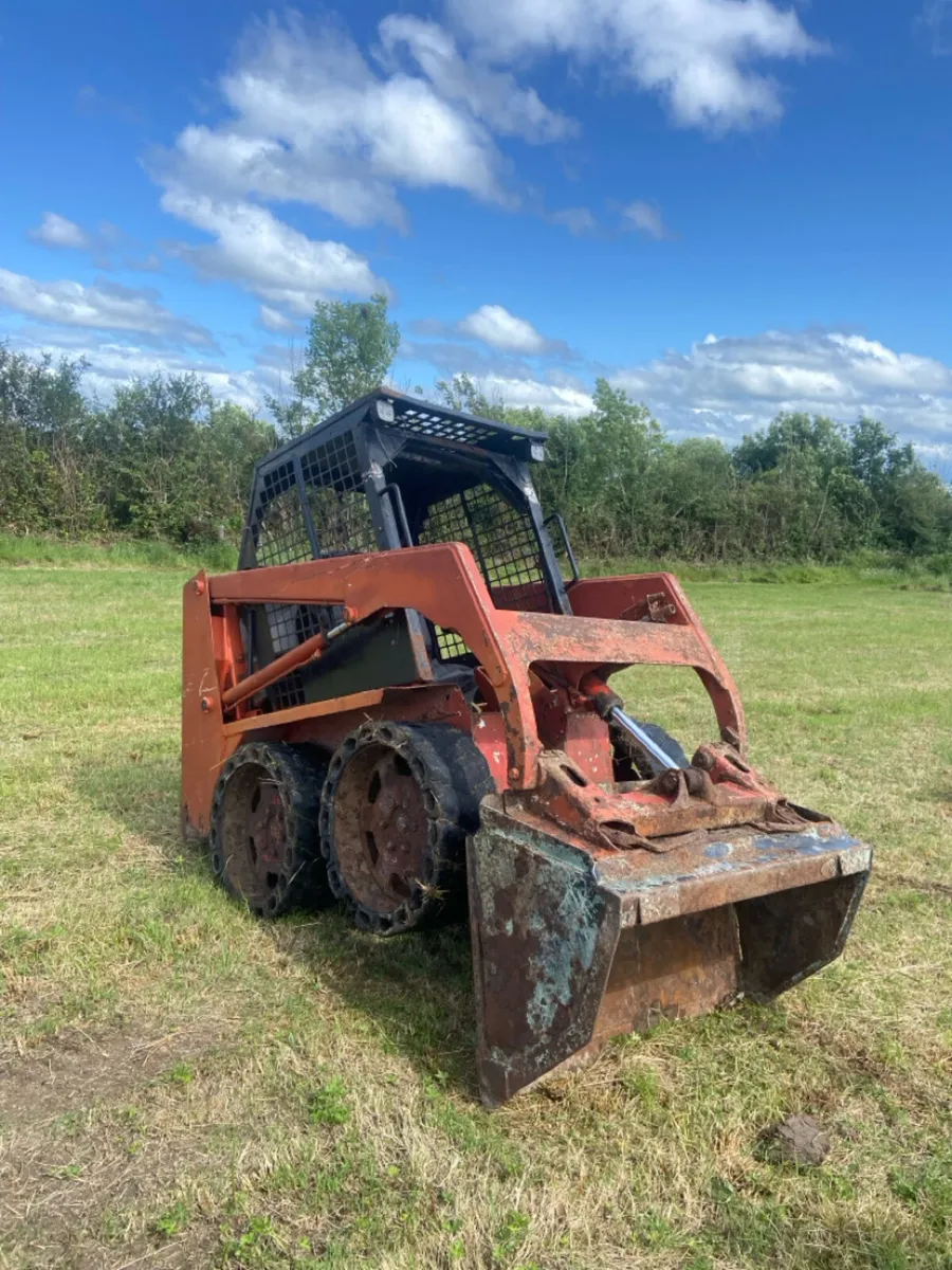 Bobcat - Image 1