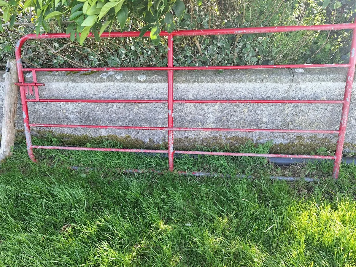 9ft Gate
