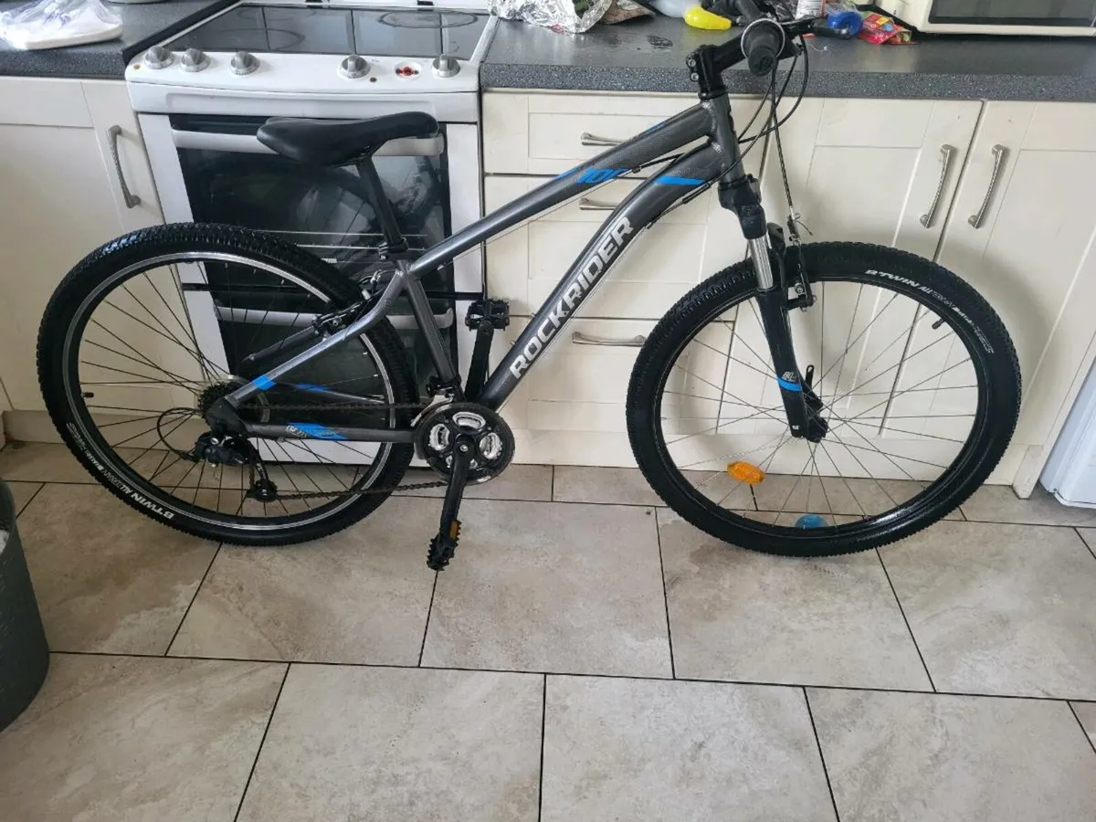 Mountain bike - Image 1