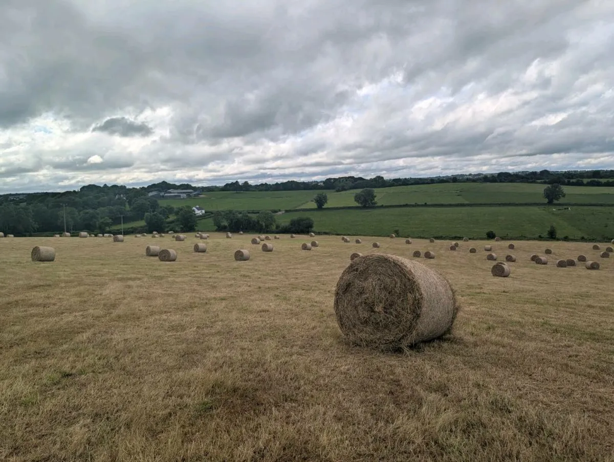 Bales of hay