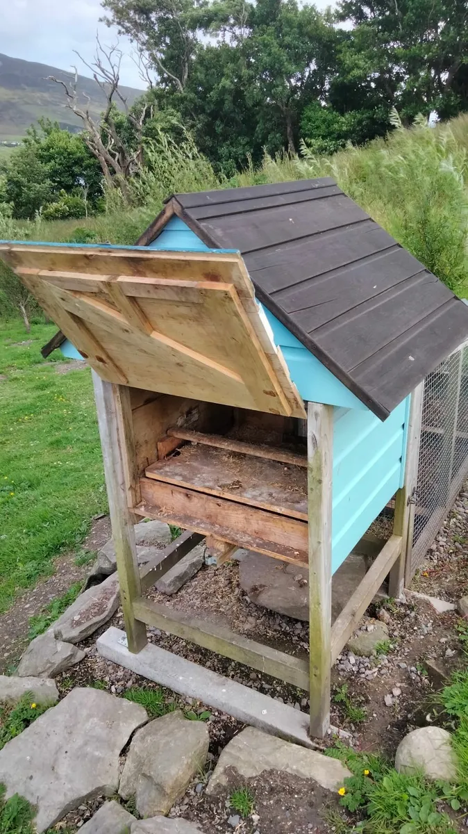 Poultry house & run - Image 3
