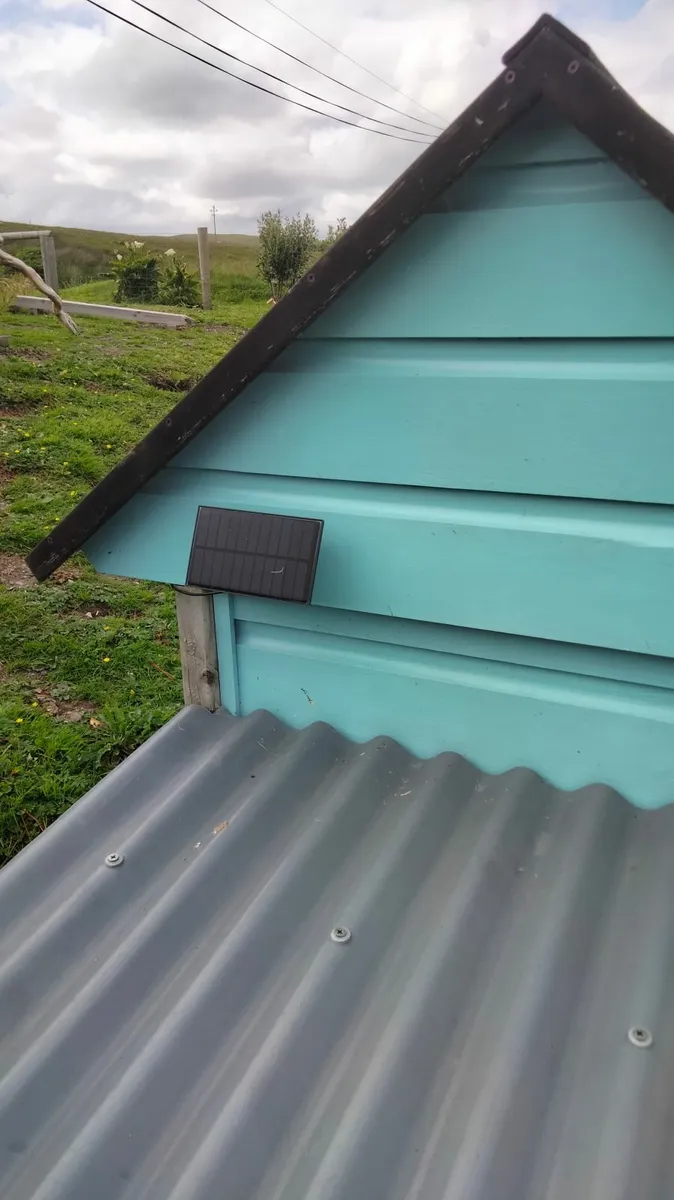 Poultry house & run - Image 4