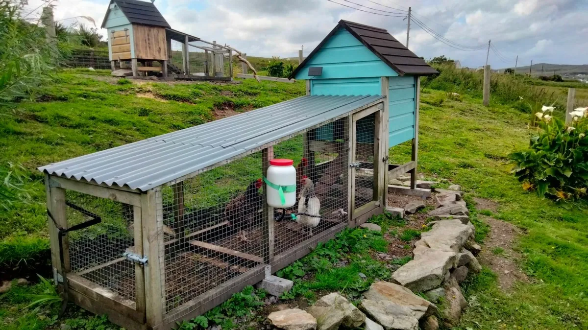 Poultry house & run - Image 1
