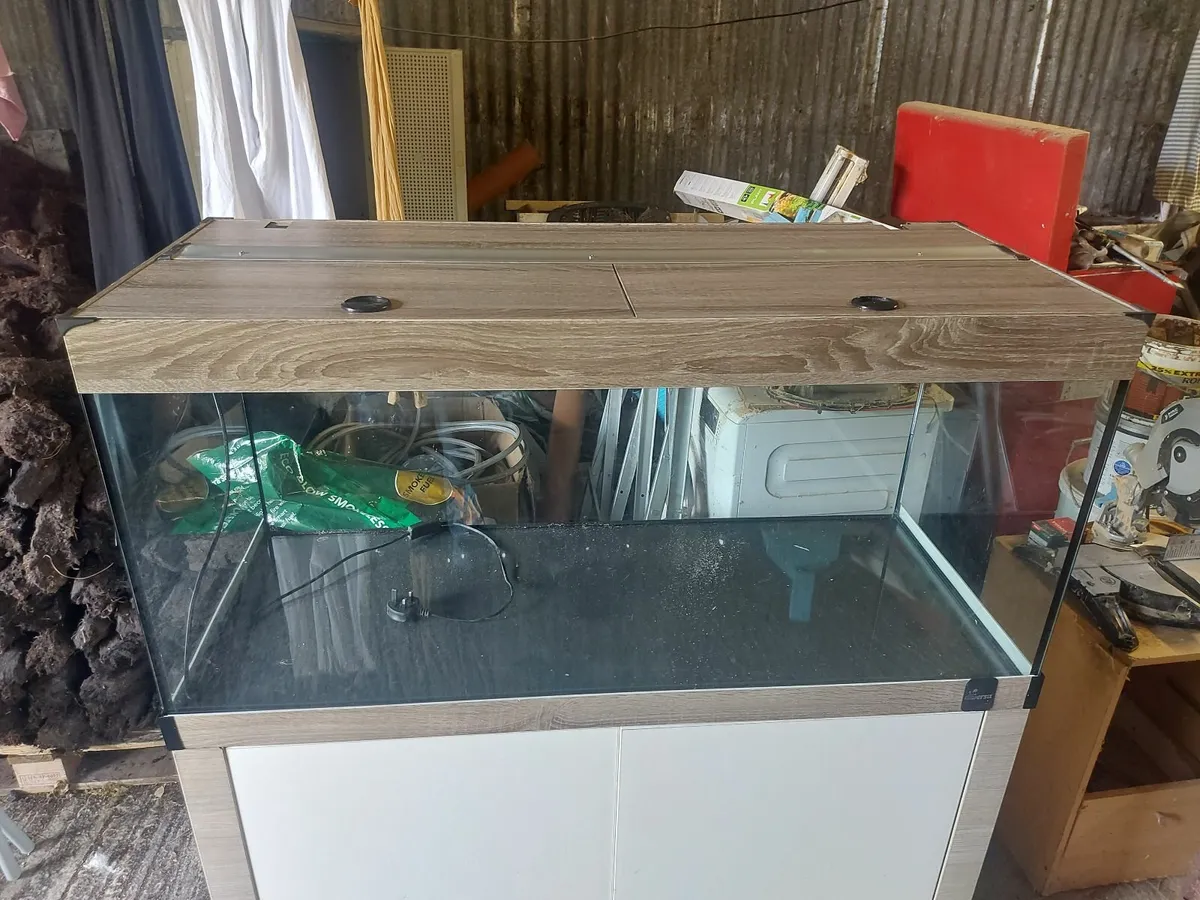 Large aquarium - Image 2
