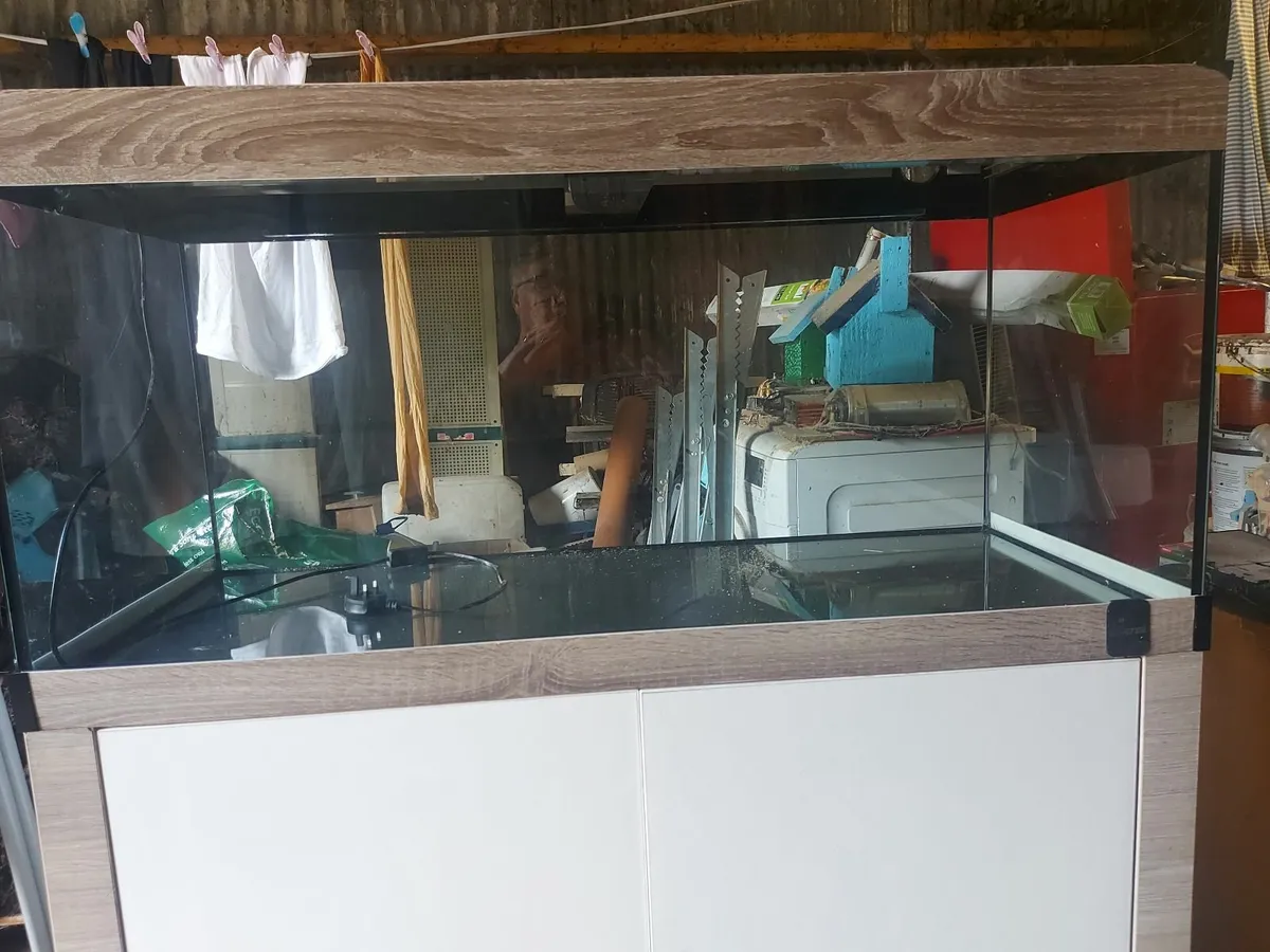 Large aquarium - Image 4