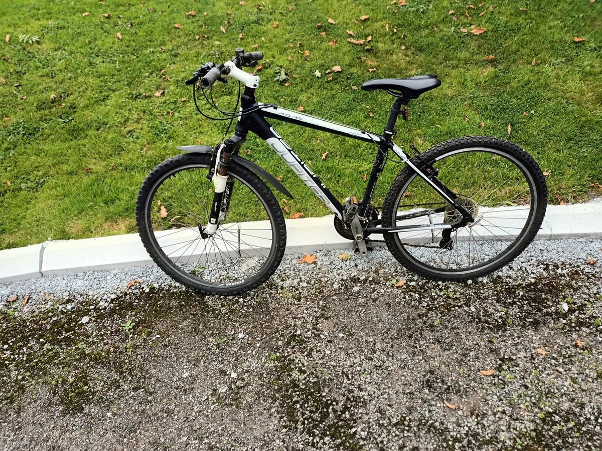 Bicycles - Image 3