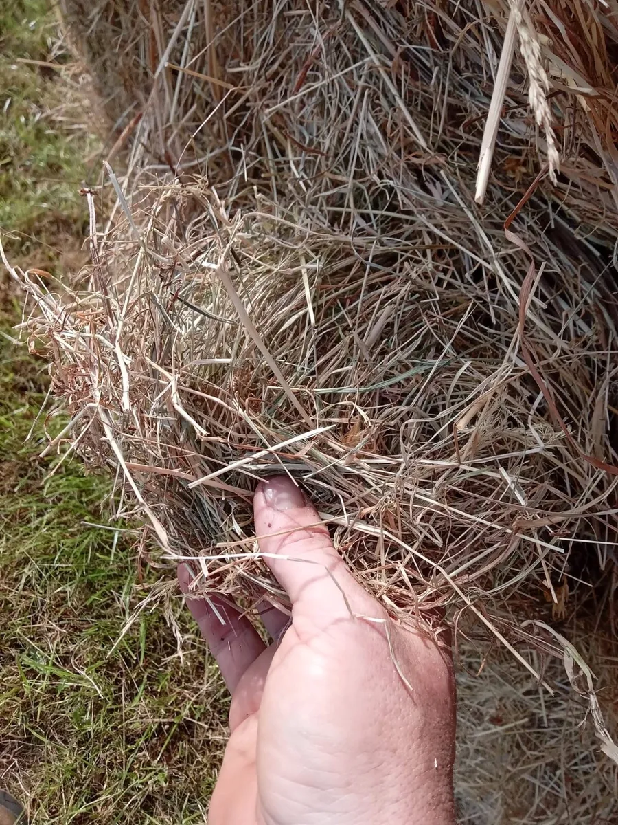 Hay Bales - Image 2