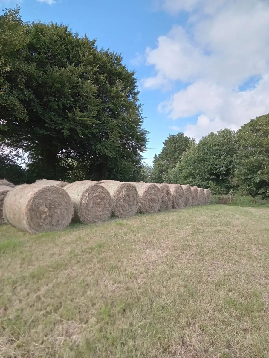 Hay Bales - Image 1