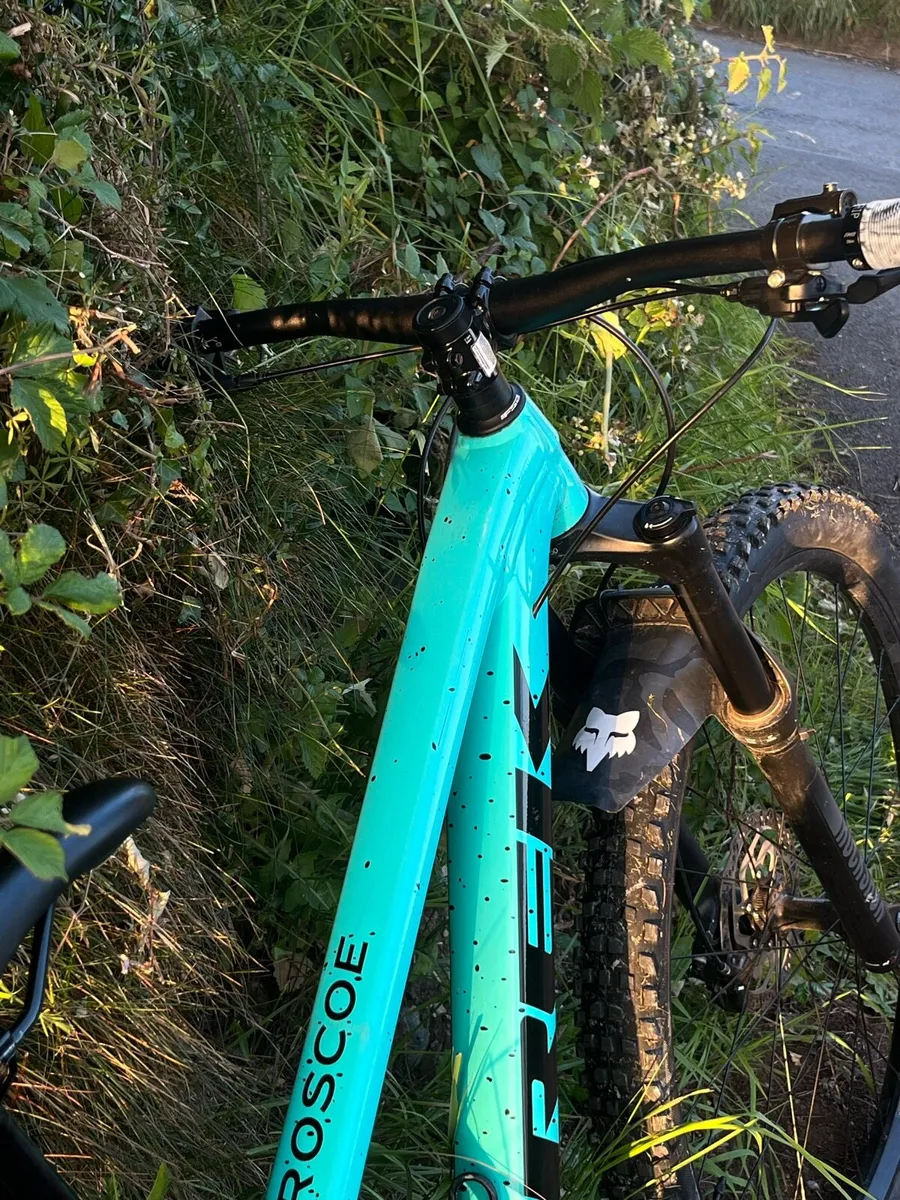 Mountain bike - Image 2