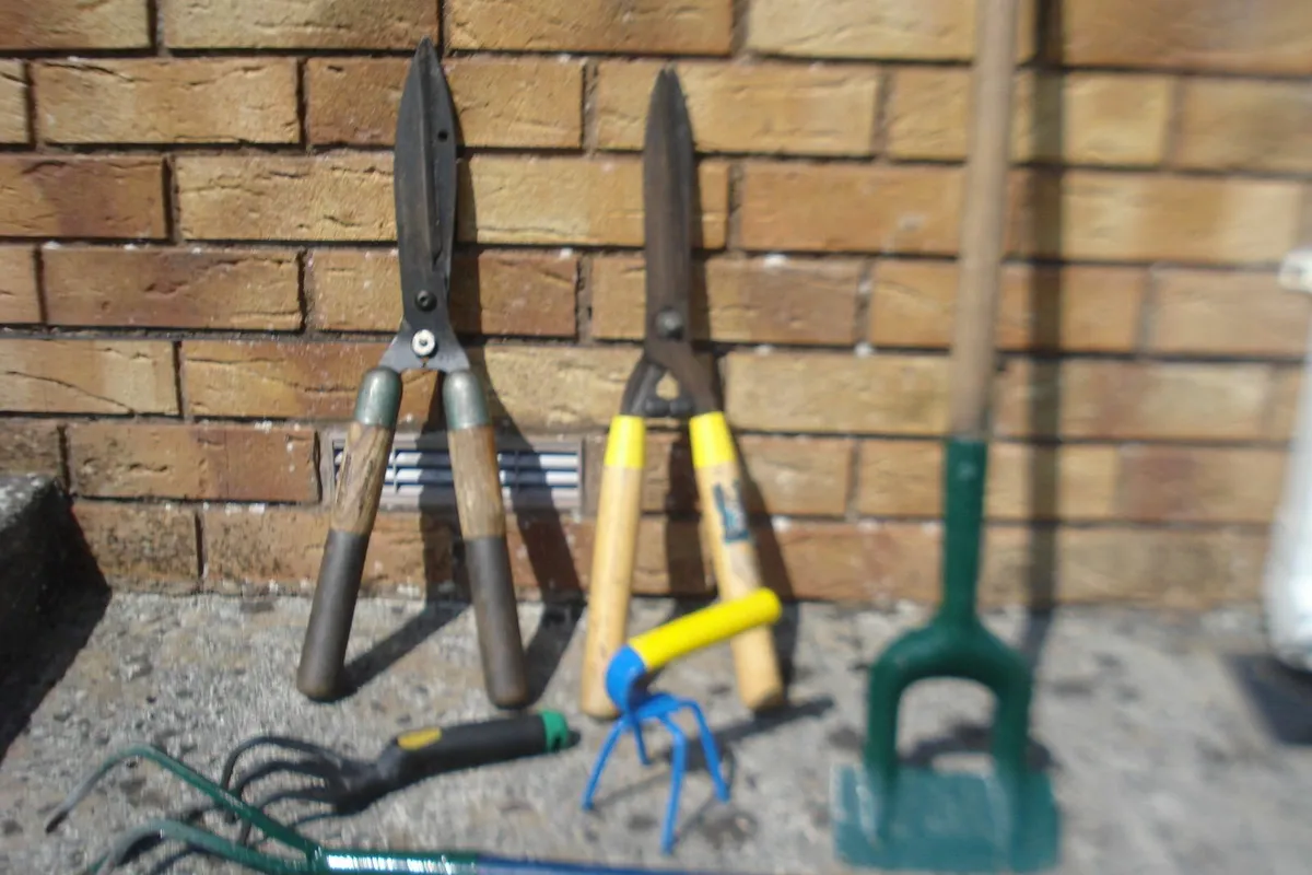 SHED CLEAROUT OF OLD GARDEN TOOLS. 6. - Image 3