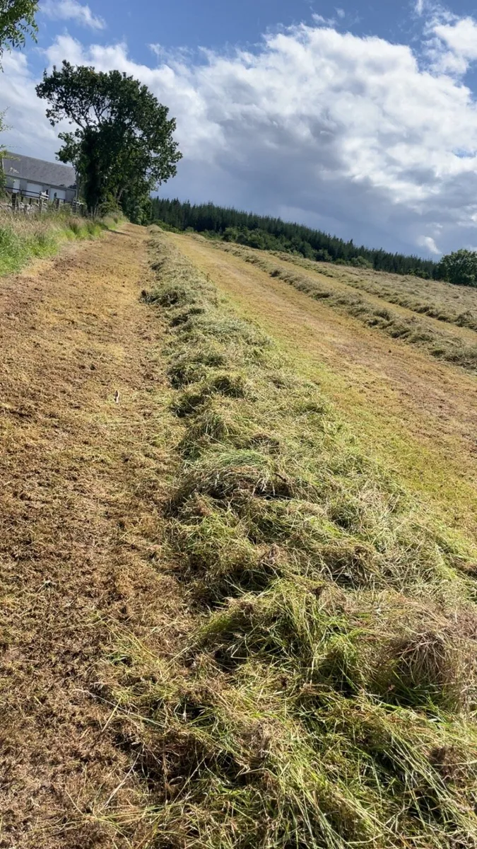 Bales silage - Image 1