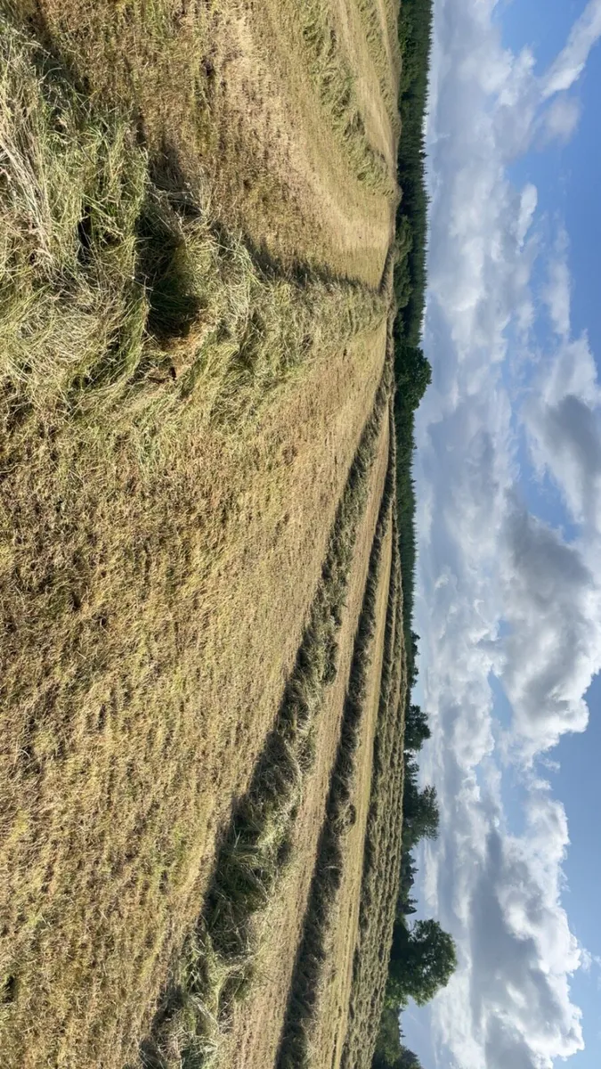 Bales silage - Image 3