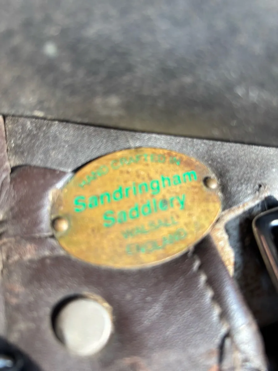 Showing Saddle - Image 3