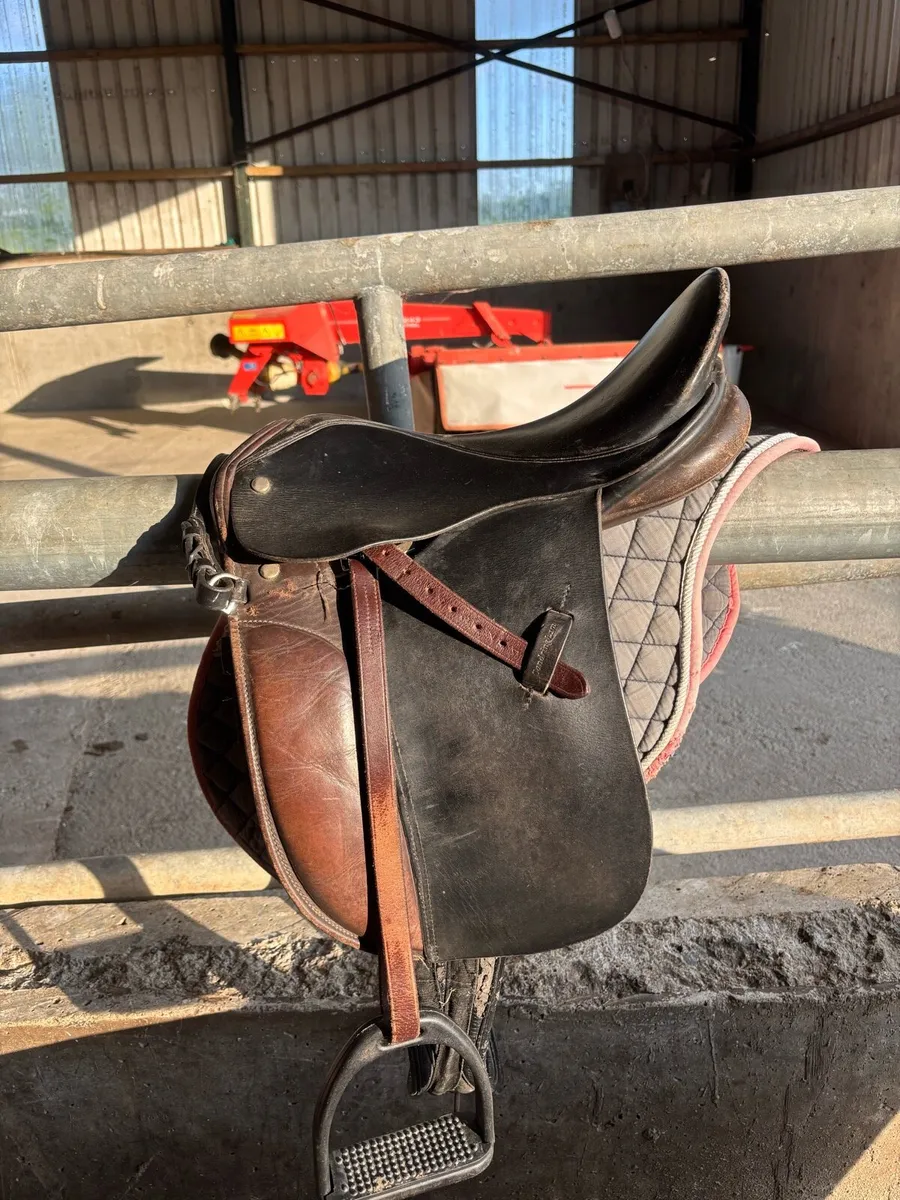 Showing Saddle - Image 1