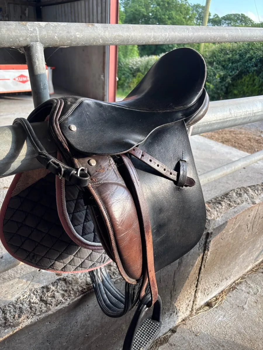 Showing Saddle - Image 2