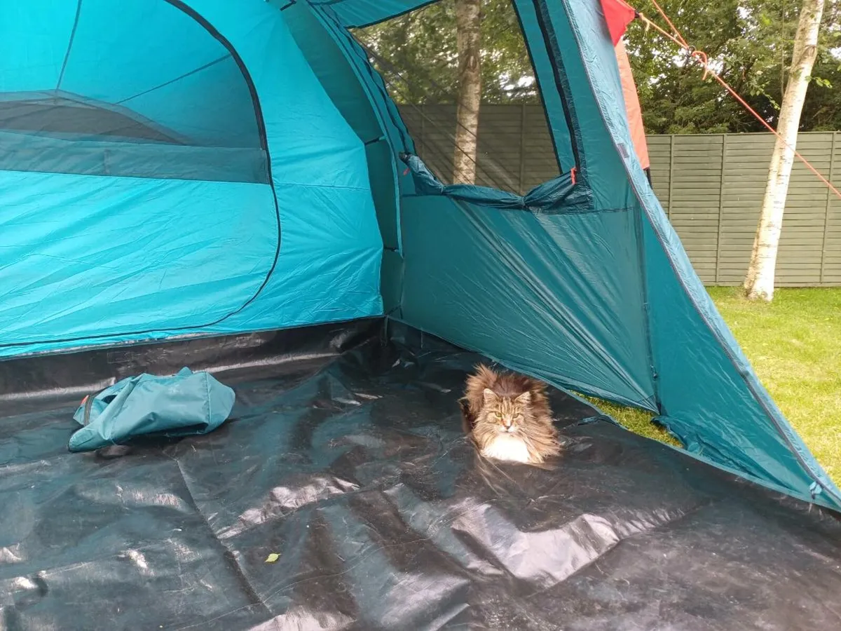 Family tent - Image 4