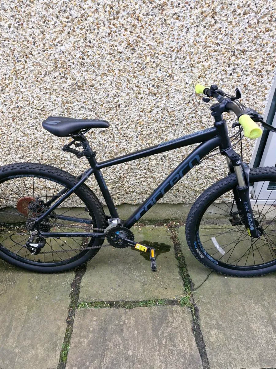 Mountain Bike - Image 1