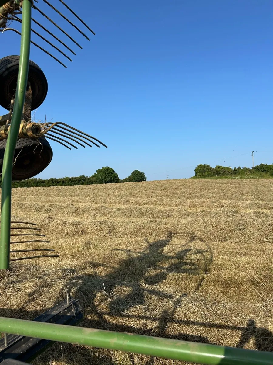 Hay - Image 3