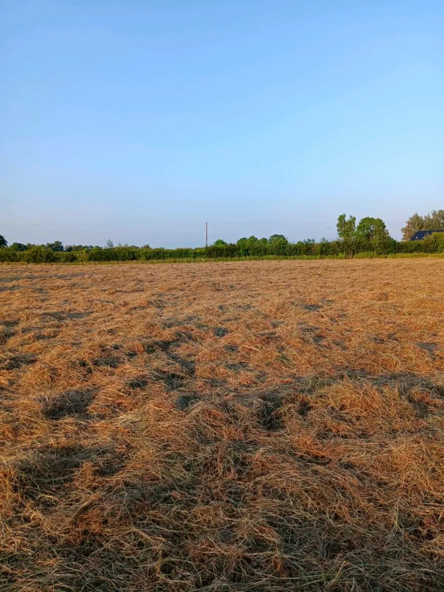 Haylage