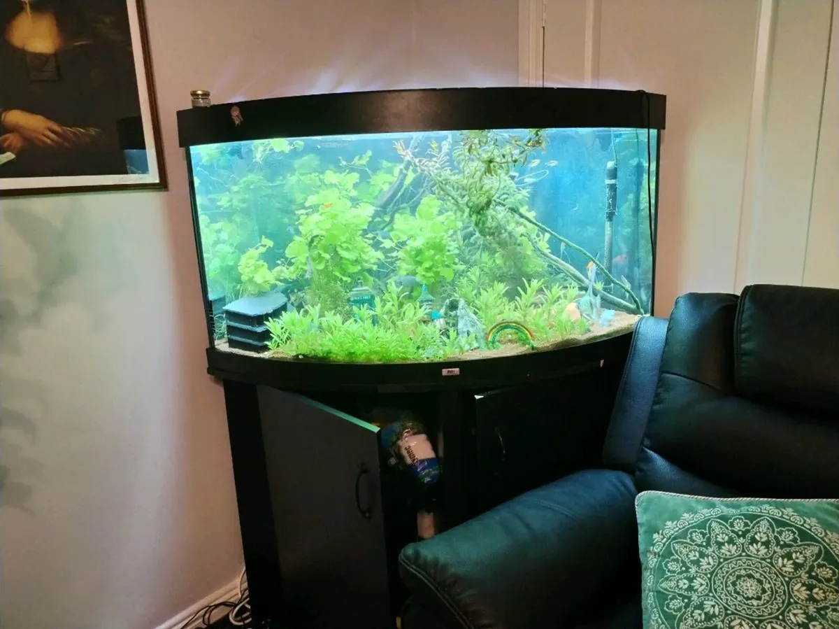 Juwel Trigon 350l (message here or WhatsApp only) - Image 1