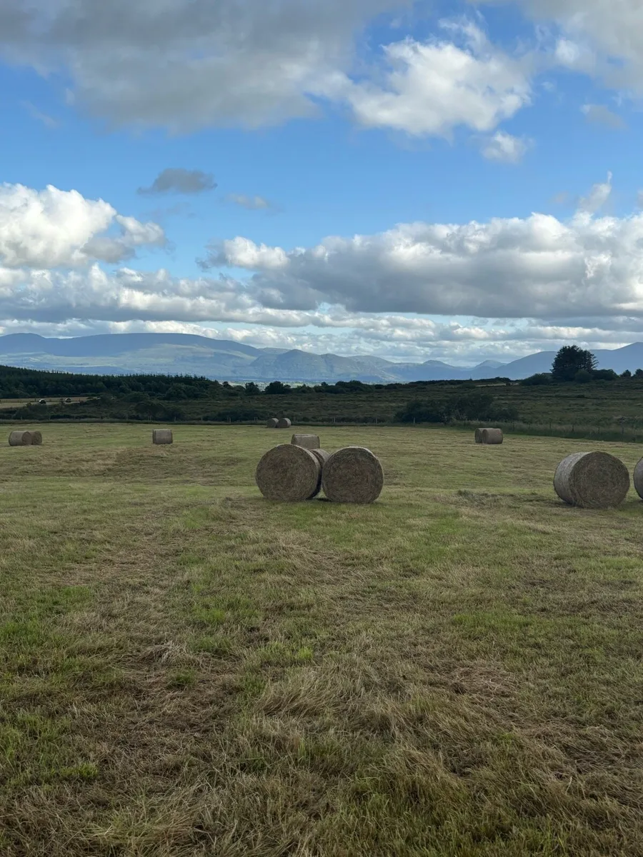 Hay Bales - Image 2