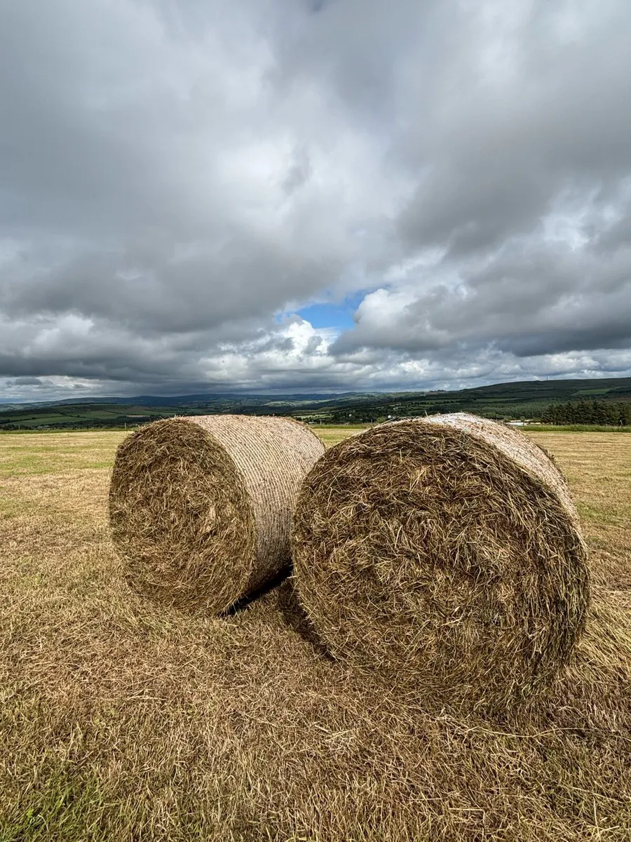 Hay Bales - Image 3