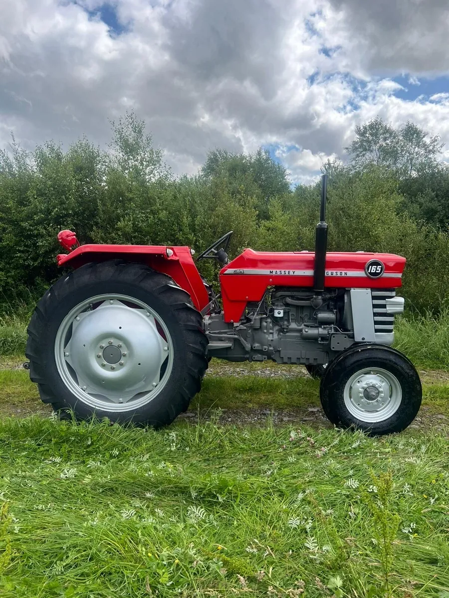 Massey Ferguson 165 - Image 2