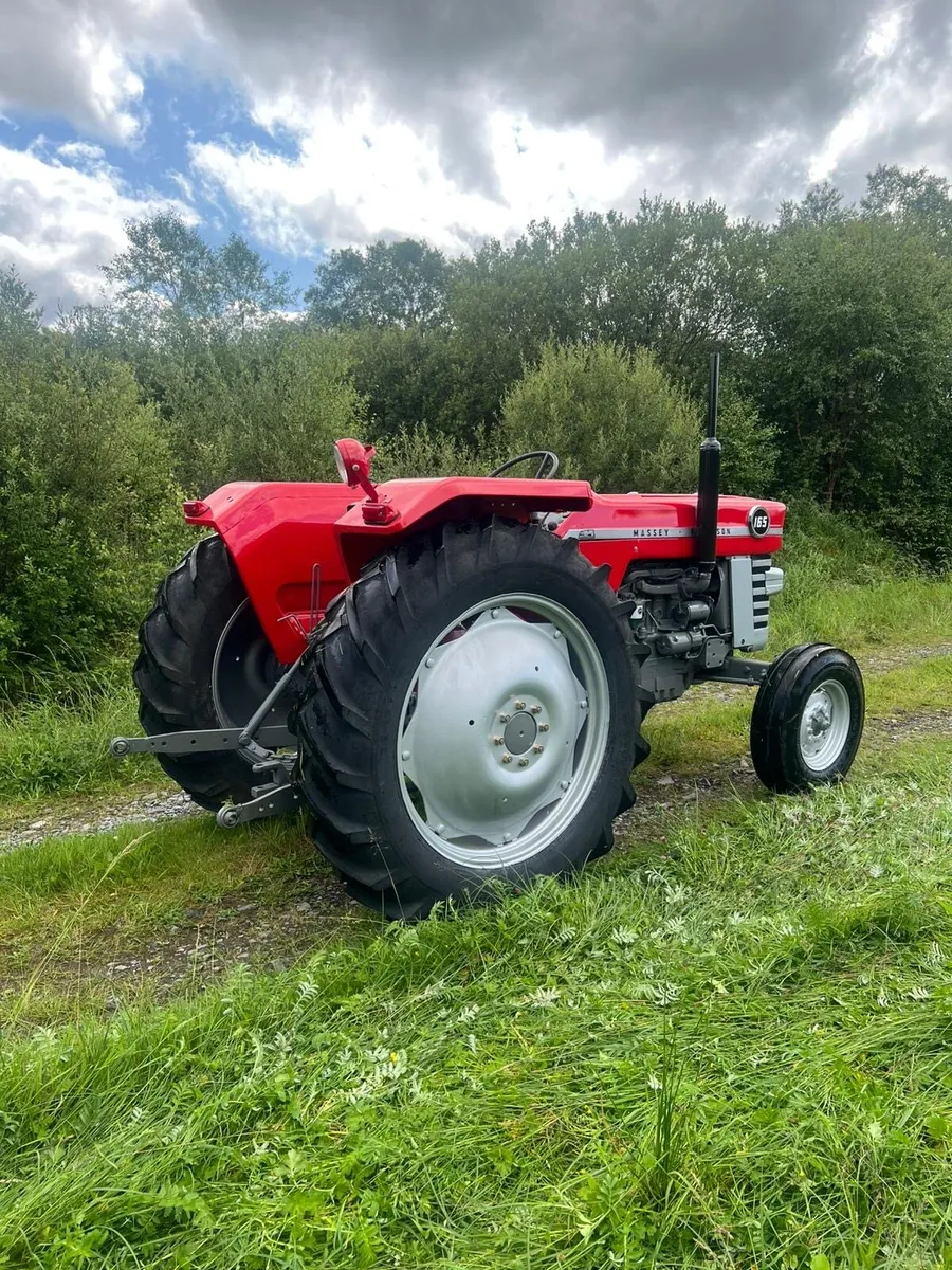 Massey Ferguson 165 - Image 3