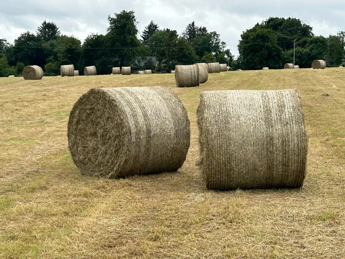 4 x 4 bales of hay for sale - Image 1