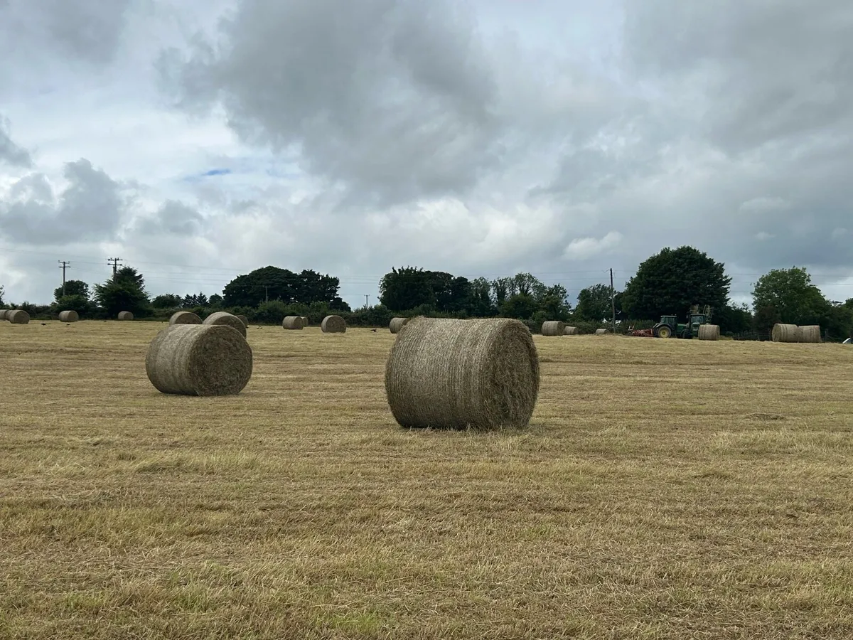 4 x 4 bales of hay for sale - Image 3