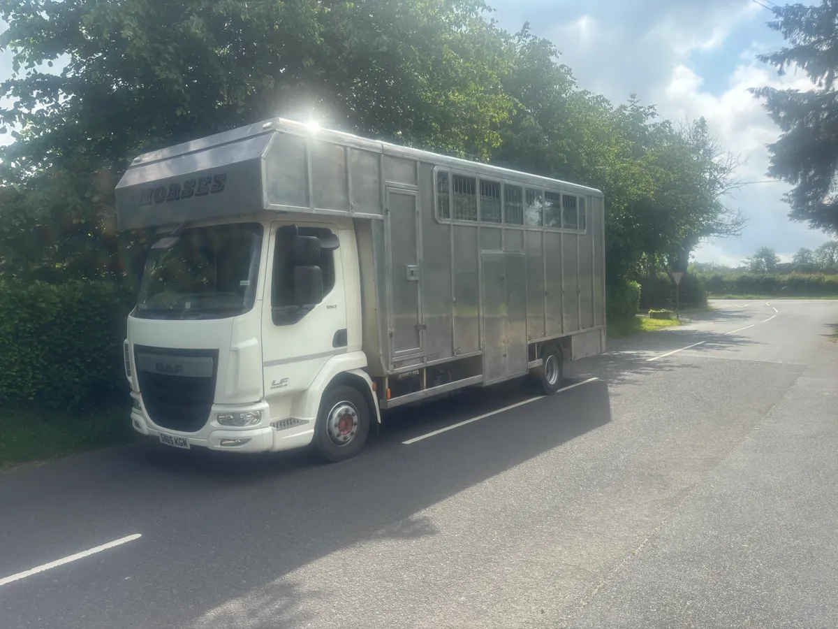 Daf lf Tri star stalled for seven - Image 1