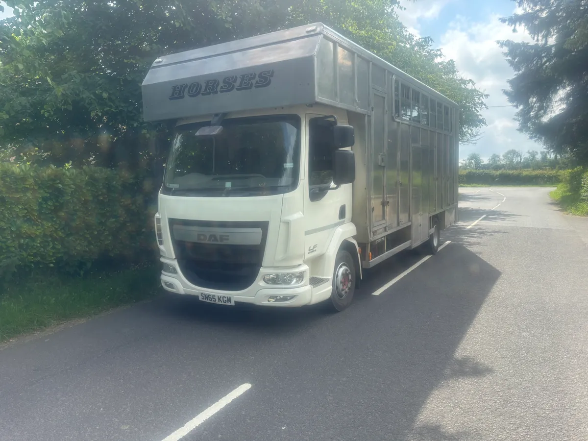 Daf lf Tri star stalled for seven - Image 2