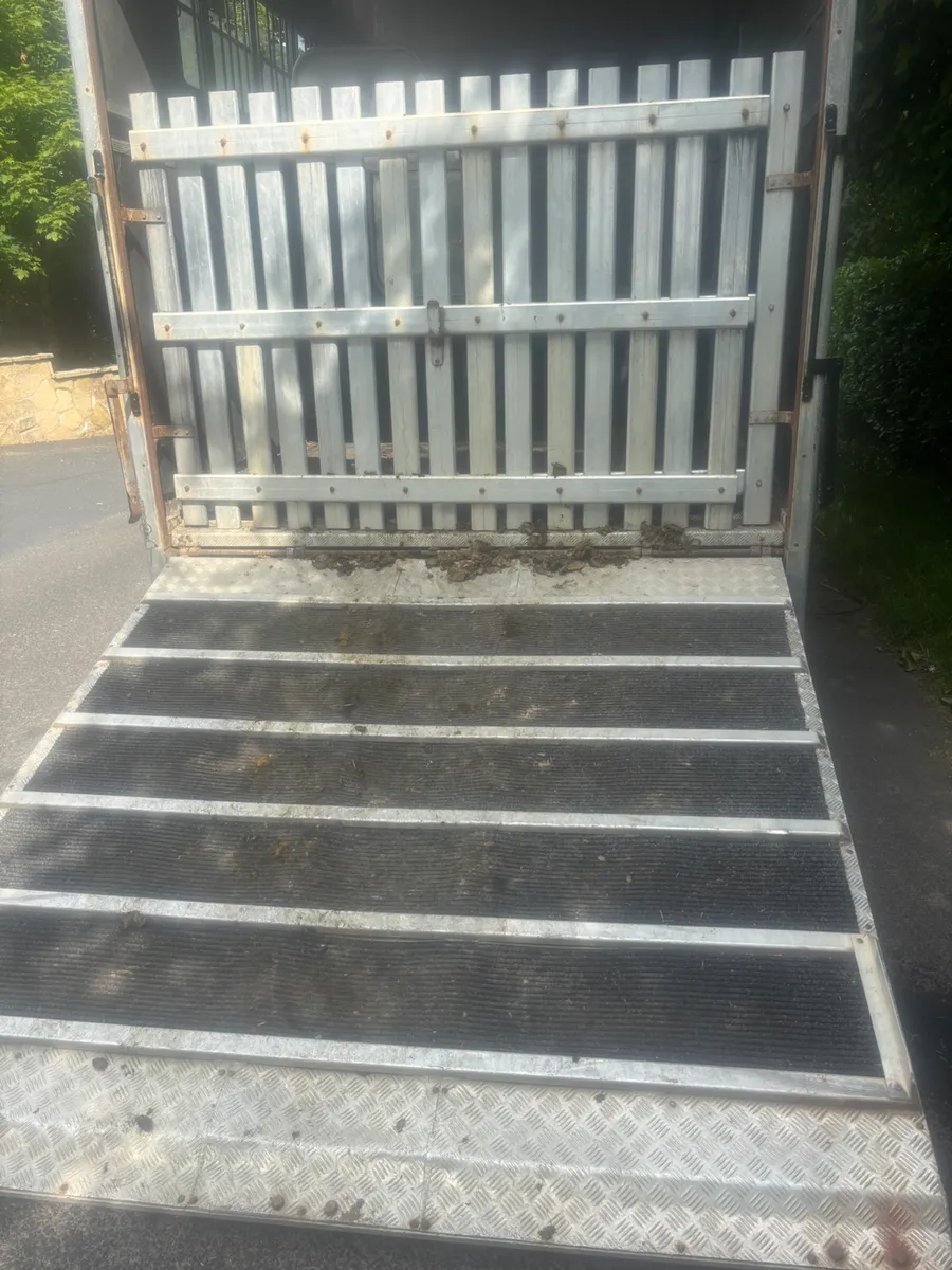 Daf lf Tri star stalled for seven - Image 4
