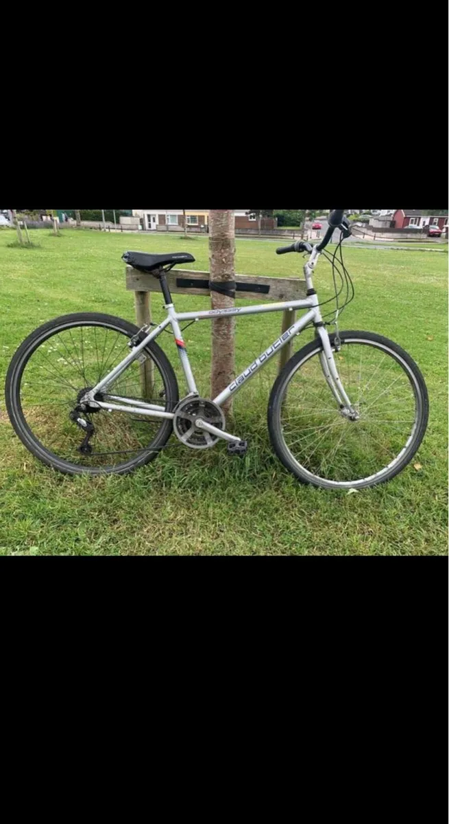 Adult bicycle