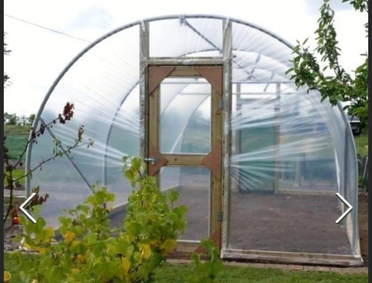 Polytunnel frame - Image 1