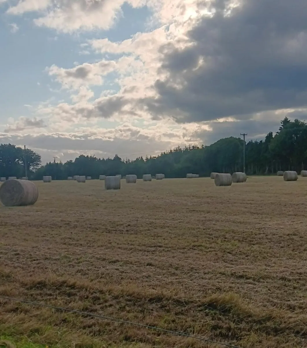 Good quality Hay for sale Rathmore area