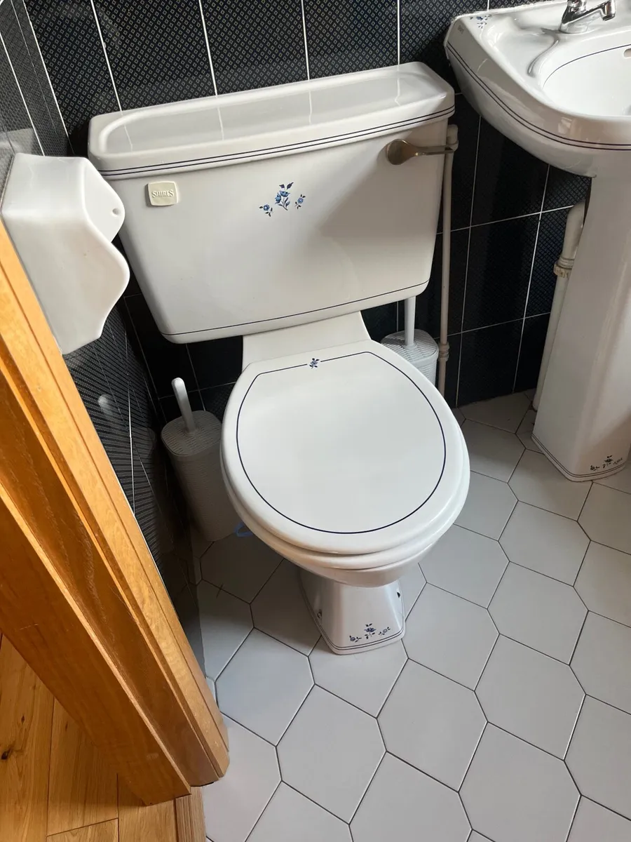 Shires  Toilet & Sink - Image 2