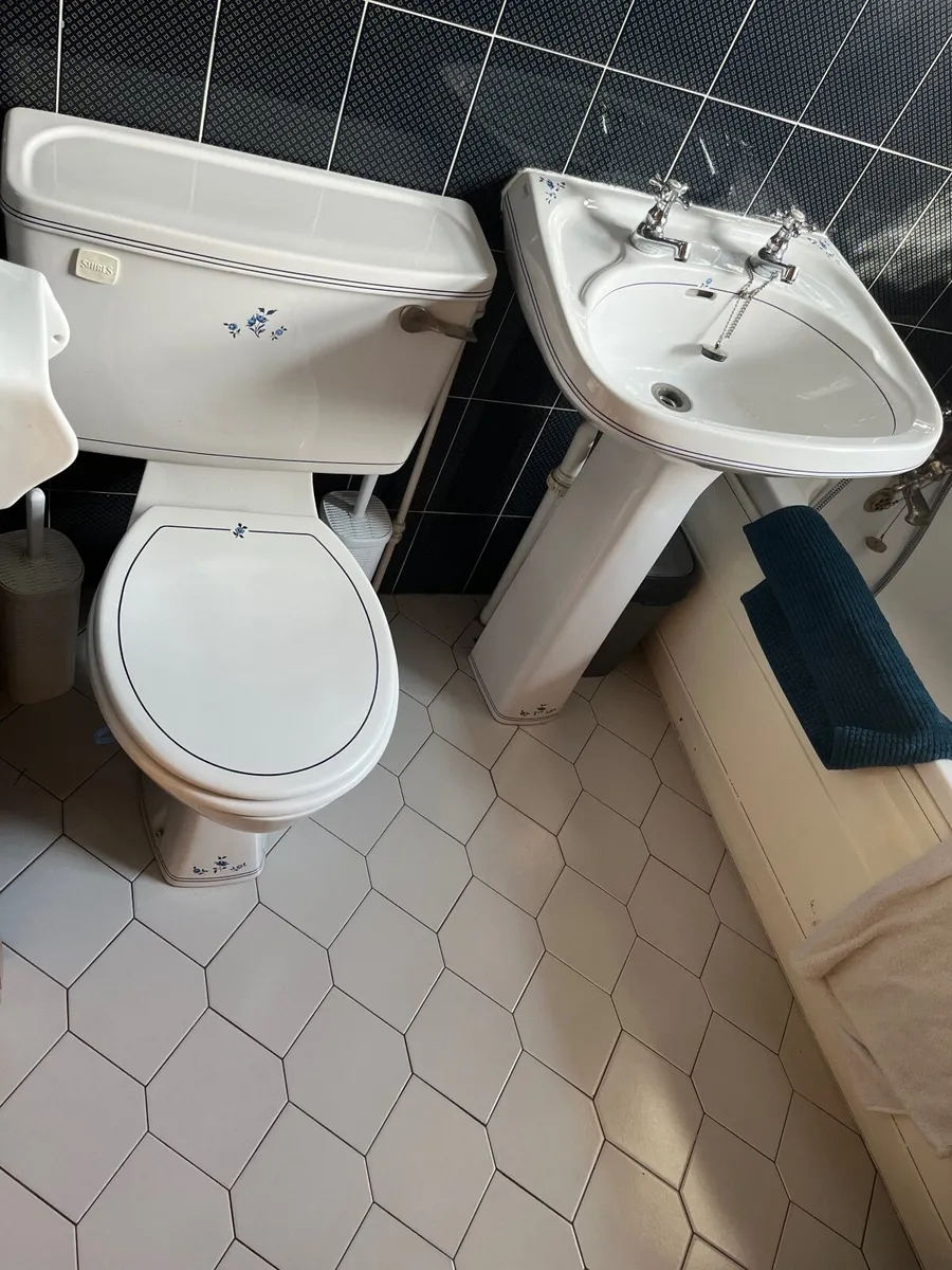 Shires  Toilet & Sink - Image 3