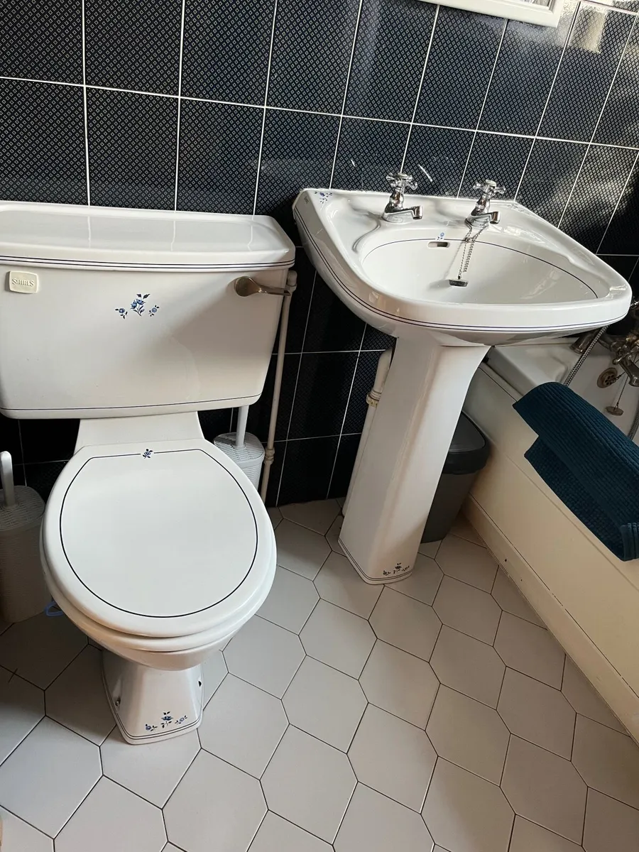 Shires  Toilet & Sink - Image 4