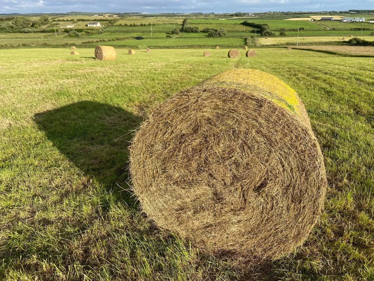 Hay Bales (Round) - Image 1