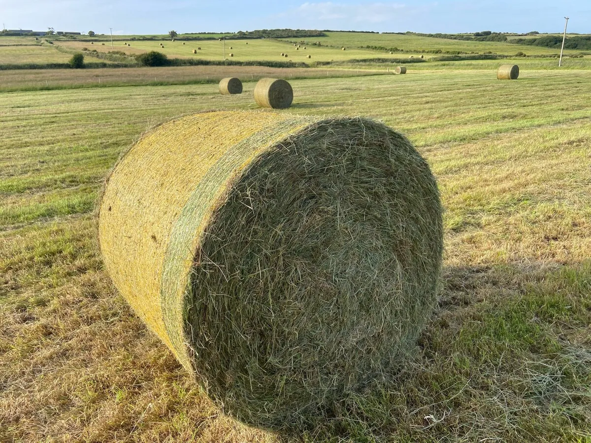 Hay Bales (Round) - Image 2