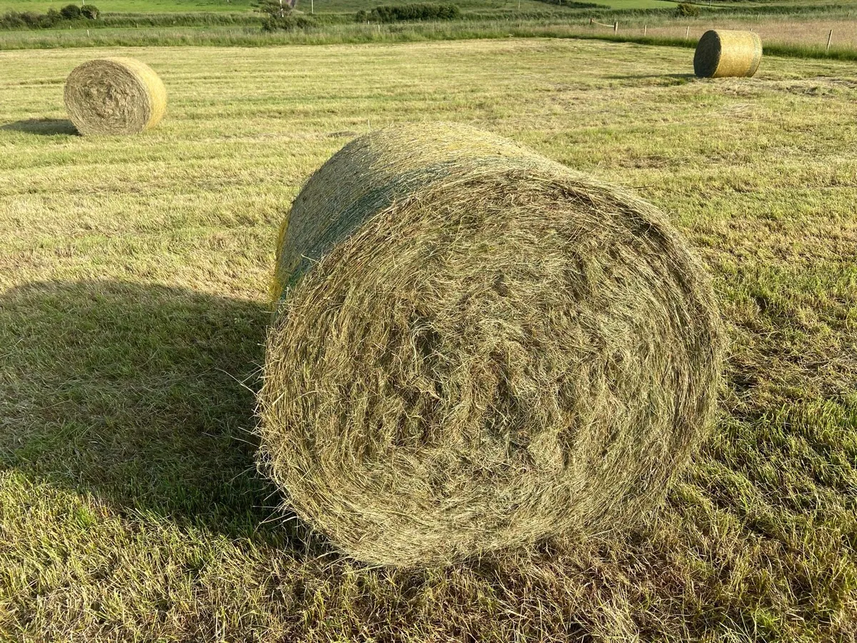 Hay Bales (Round) - Image 3