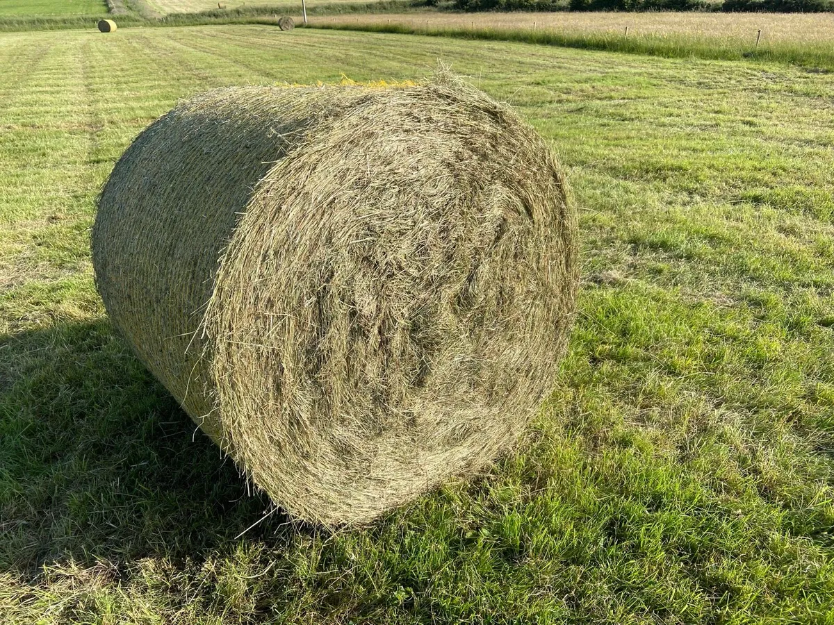 Hay Bales (Round) - Image 4