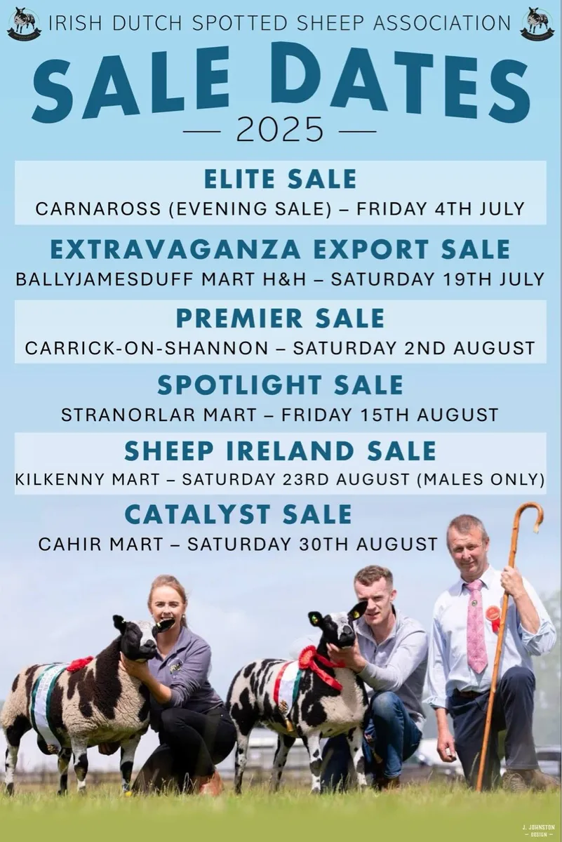 Dutch Spotted  Sale 30 Aug - Image 2