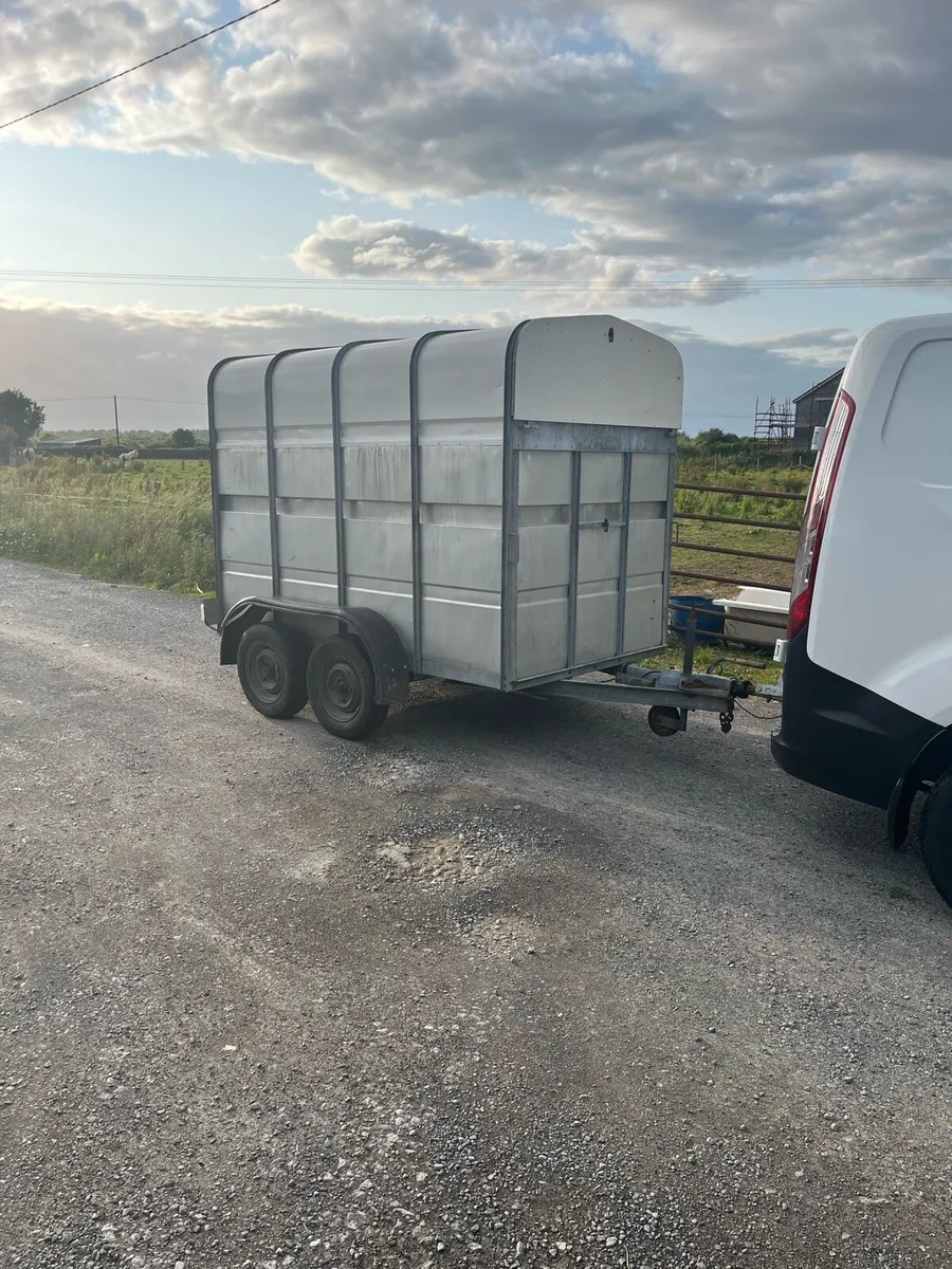 8x5 aerlite Jim Murphy cattle trailer - Image 1