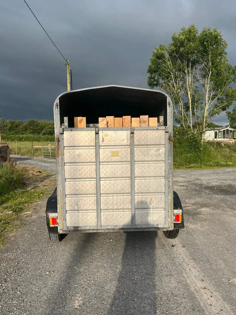 8x5 aerlite Jim Murphy cattle trailer - Image 3