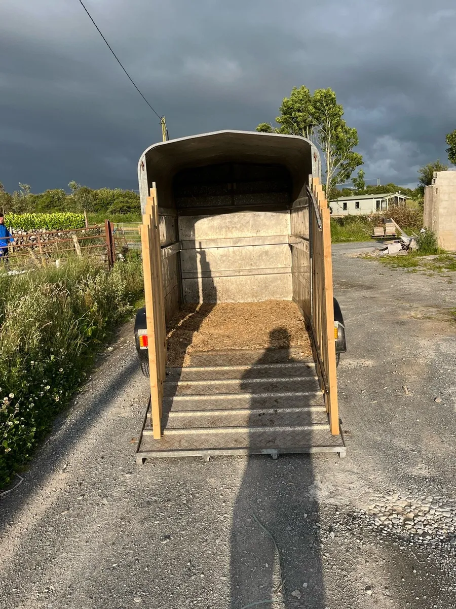 8x5 aerlite Jim Murphy cattle trailer - Image 4