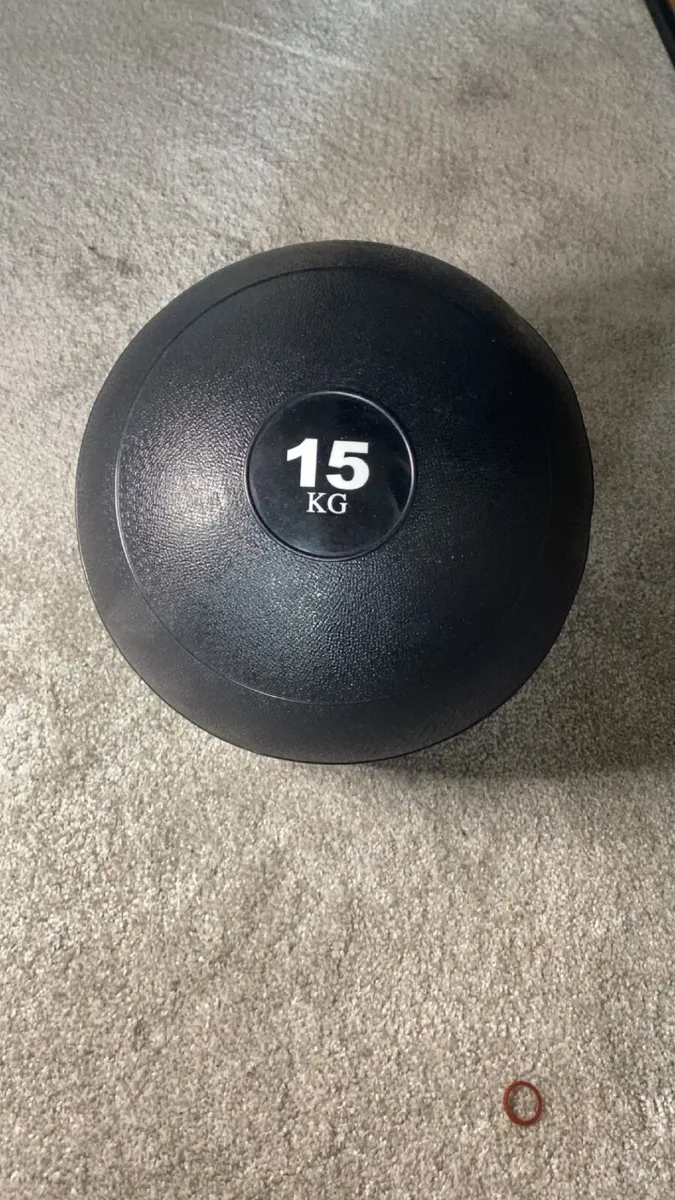 Rival 15kg Medicine Slam Ball - Image 1